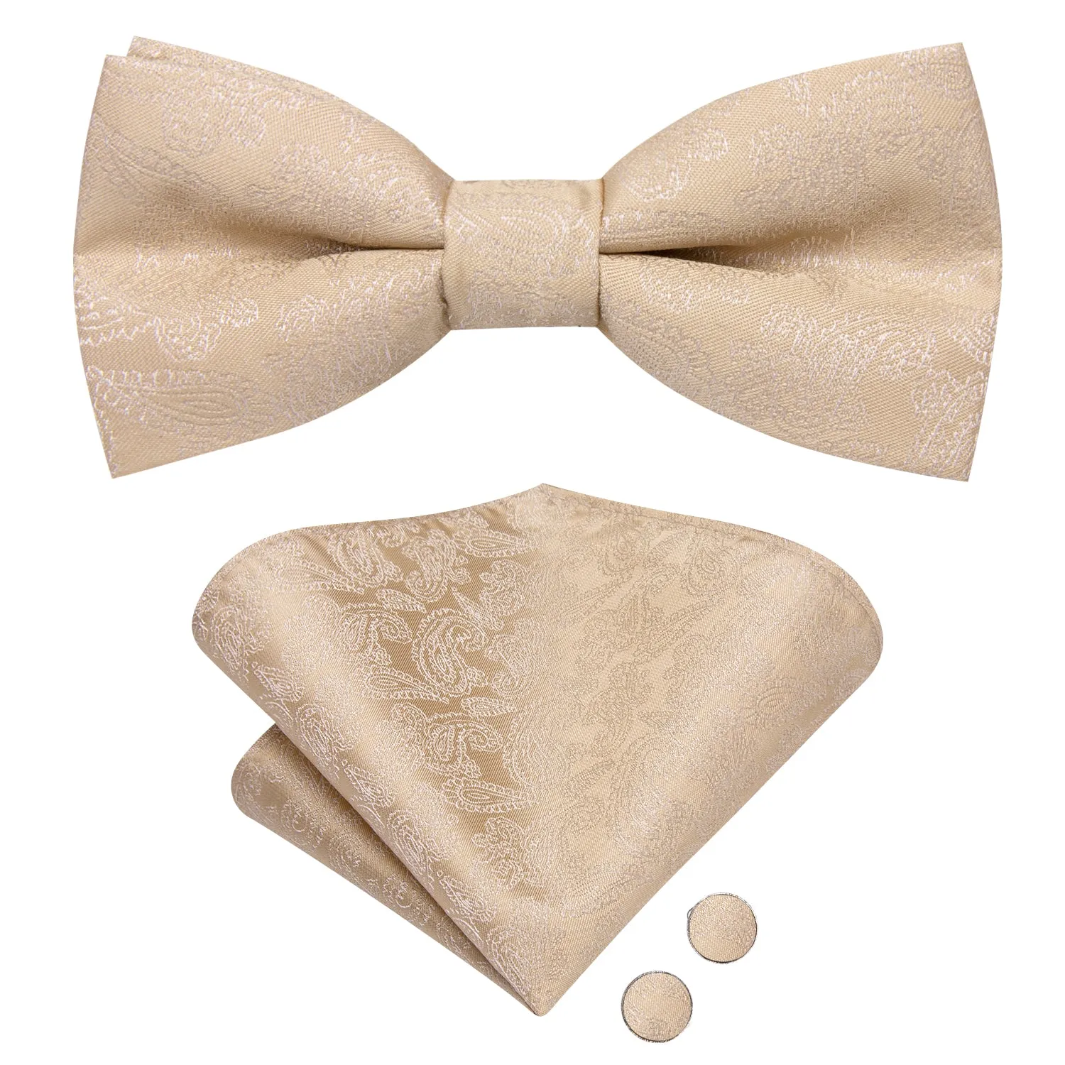 Hi-Tie Beige Necktie Paisley Kids Bow Tie Hanky Cufflinks Set